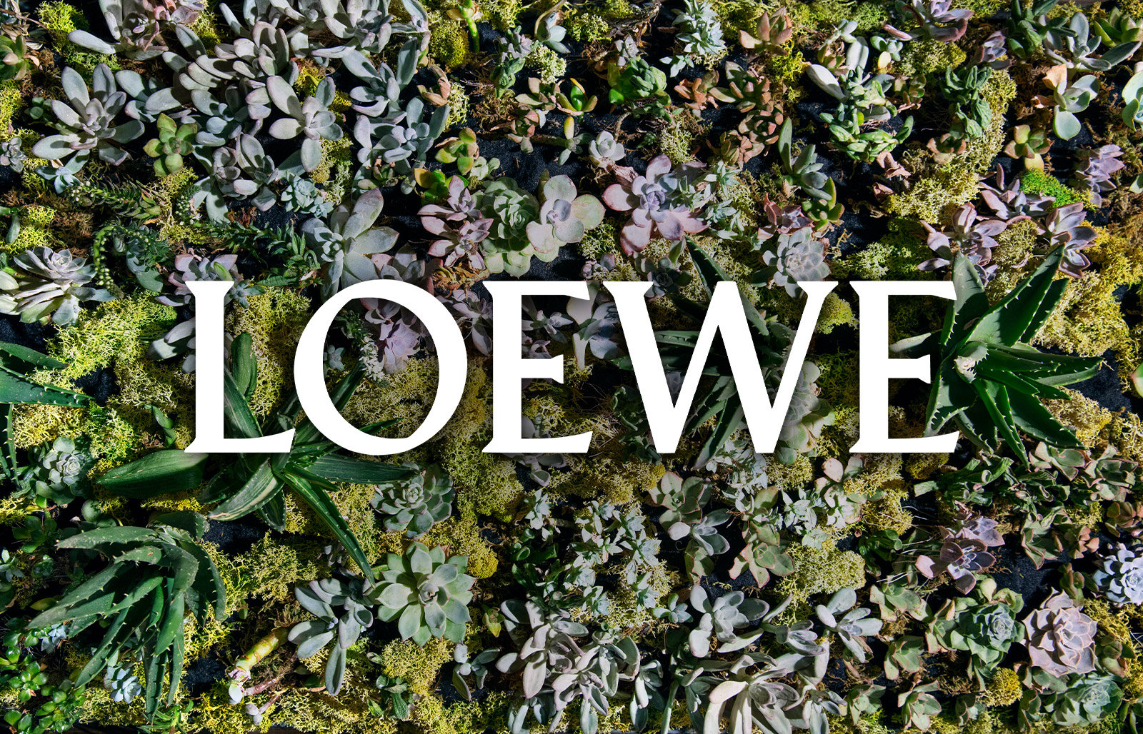 LOEWE Boutique landscape green experience with Mingzhu Nerval