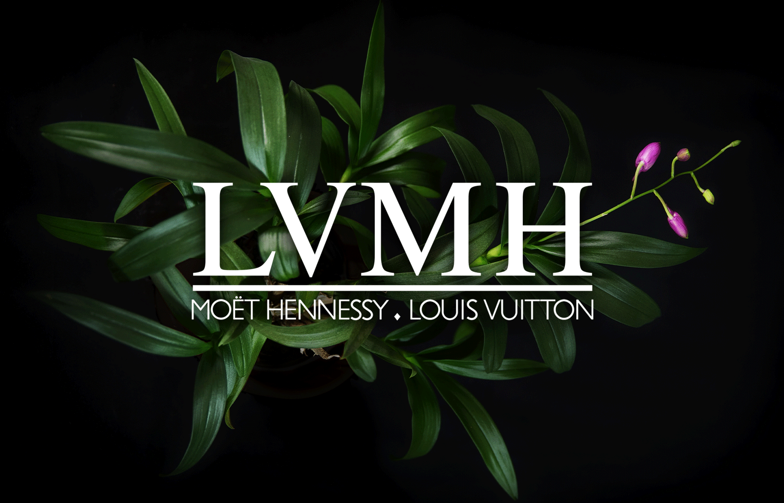 LVMH Louis Vuitton Group and Mingzhu Nerval, Indoor Corporate Garden