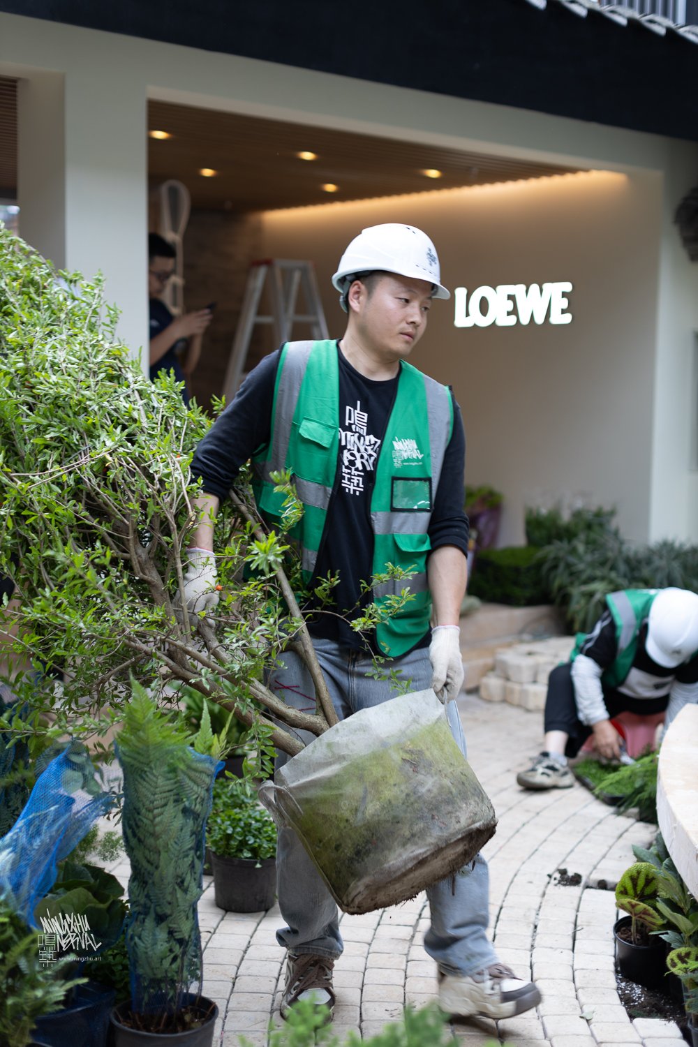 Mingzhu Nerval, building a garden for LOEWE in Chengdu, 2024