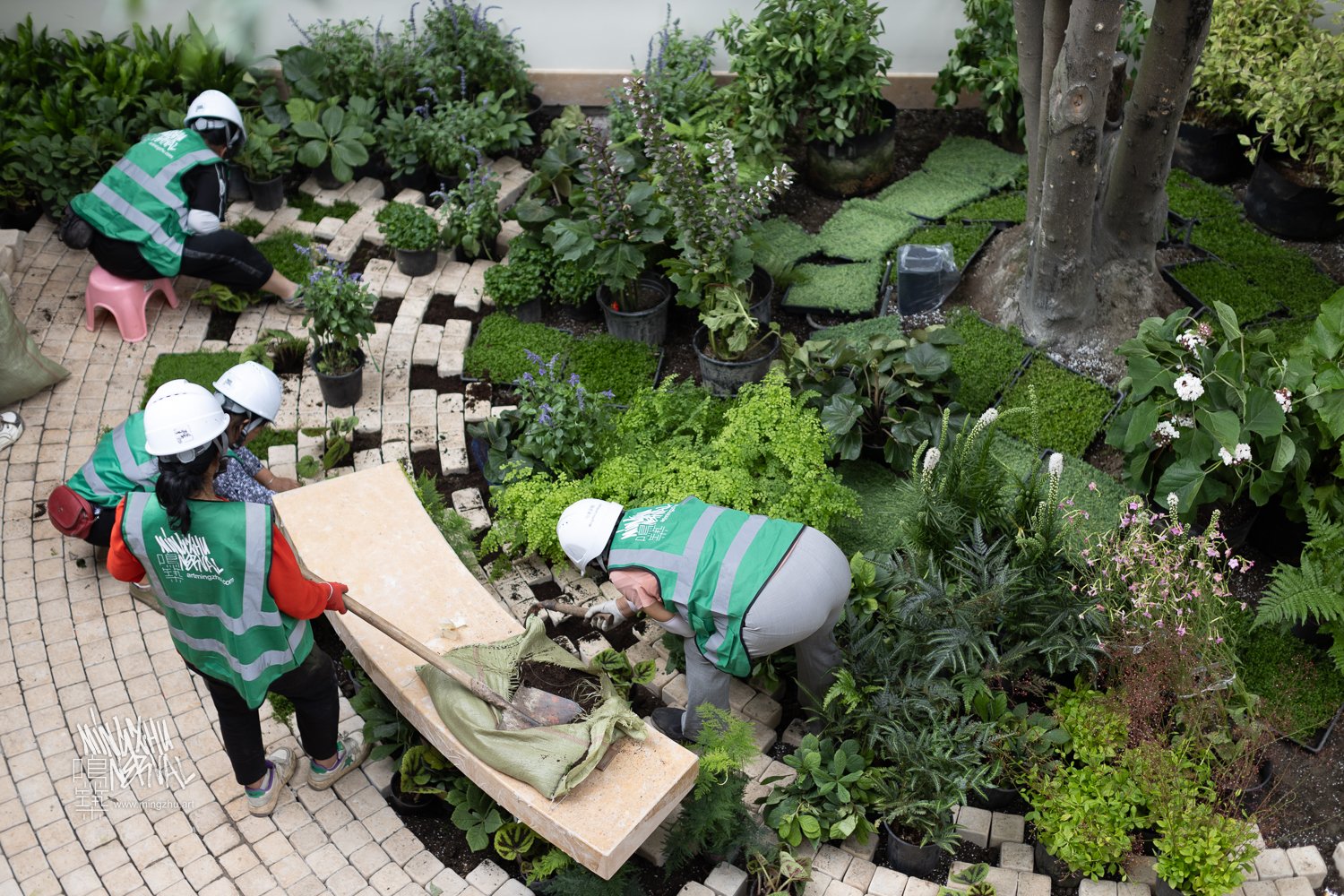 Mingzhu Nerval, building a garden for LOEWE in Chengdu, 2024