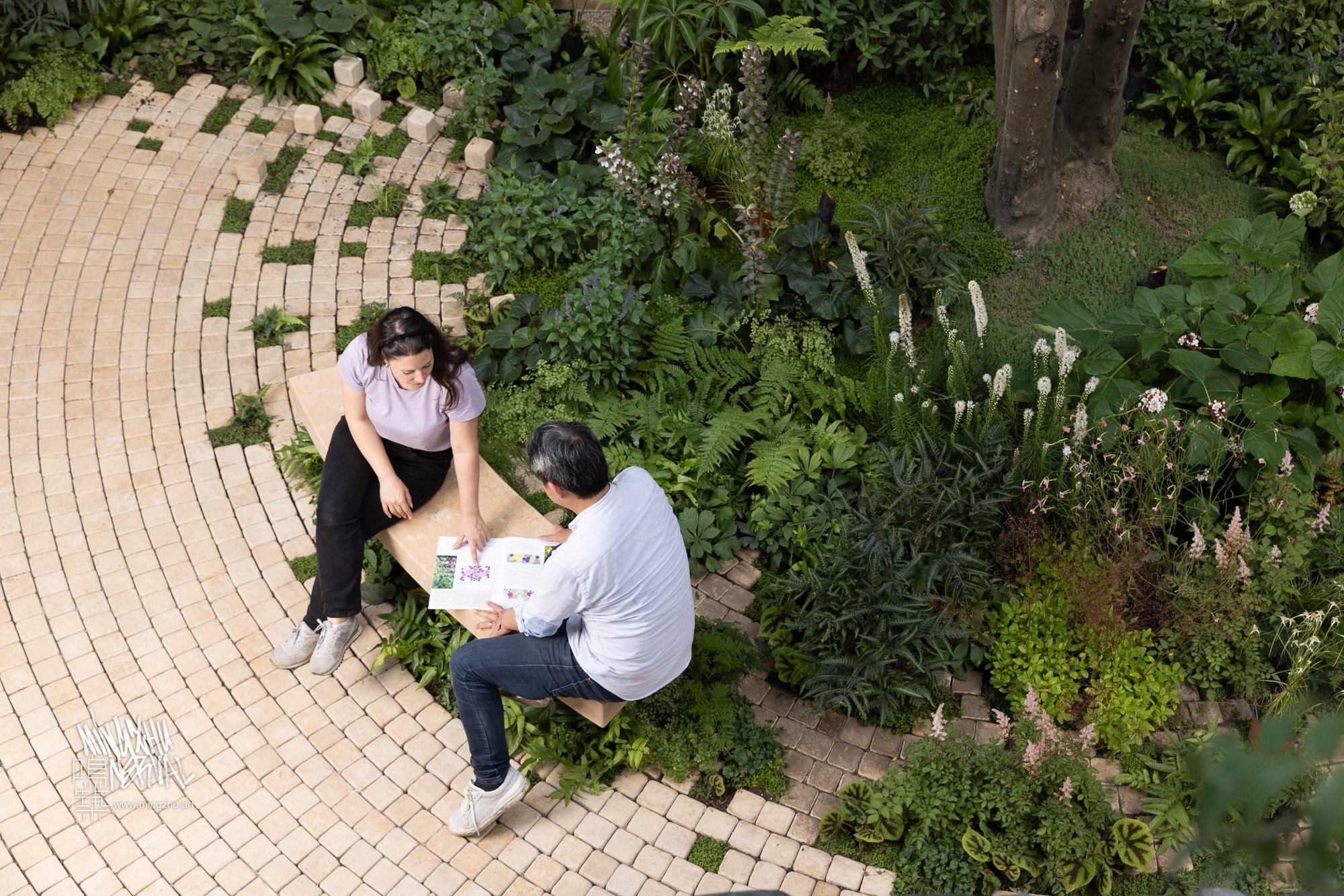 Mingzhu Nerval, building a garden for LOEWE in Chengdu, 2024